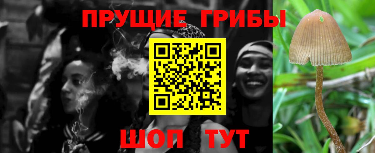 Псилоцибиновые грибы мицелий Вятские Поляны